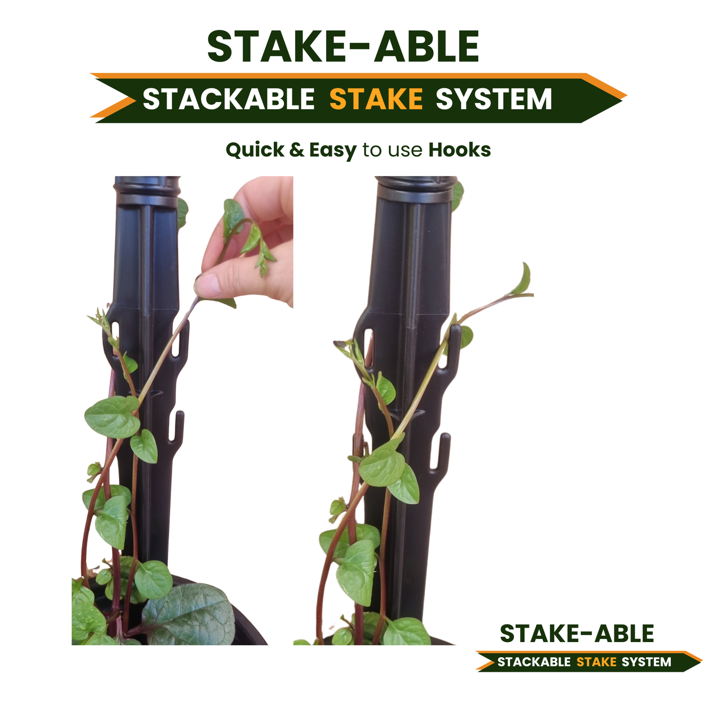 Stake-able -BASE STAKE