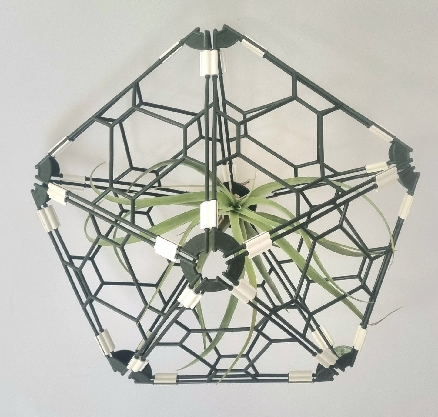 TRYframe 24 Pack