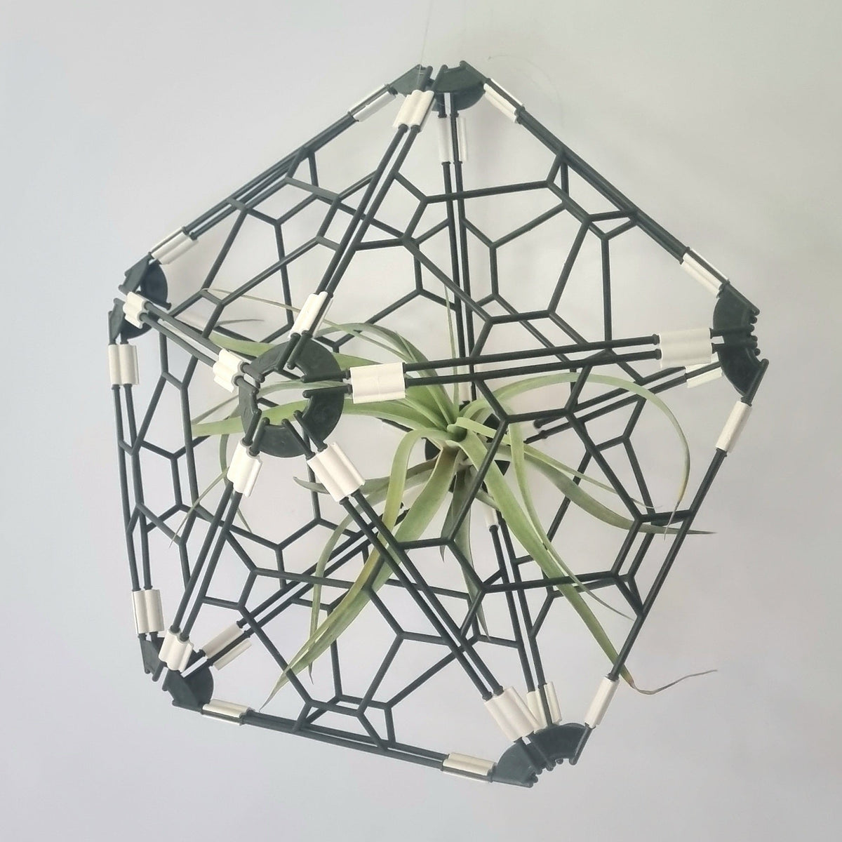 TRYframe 10 Pack