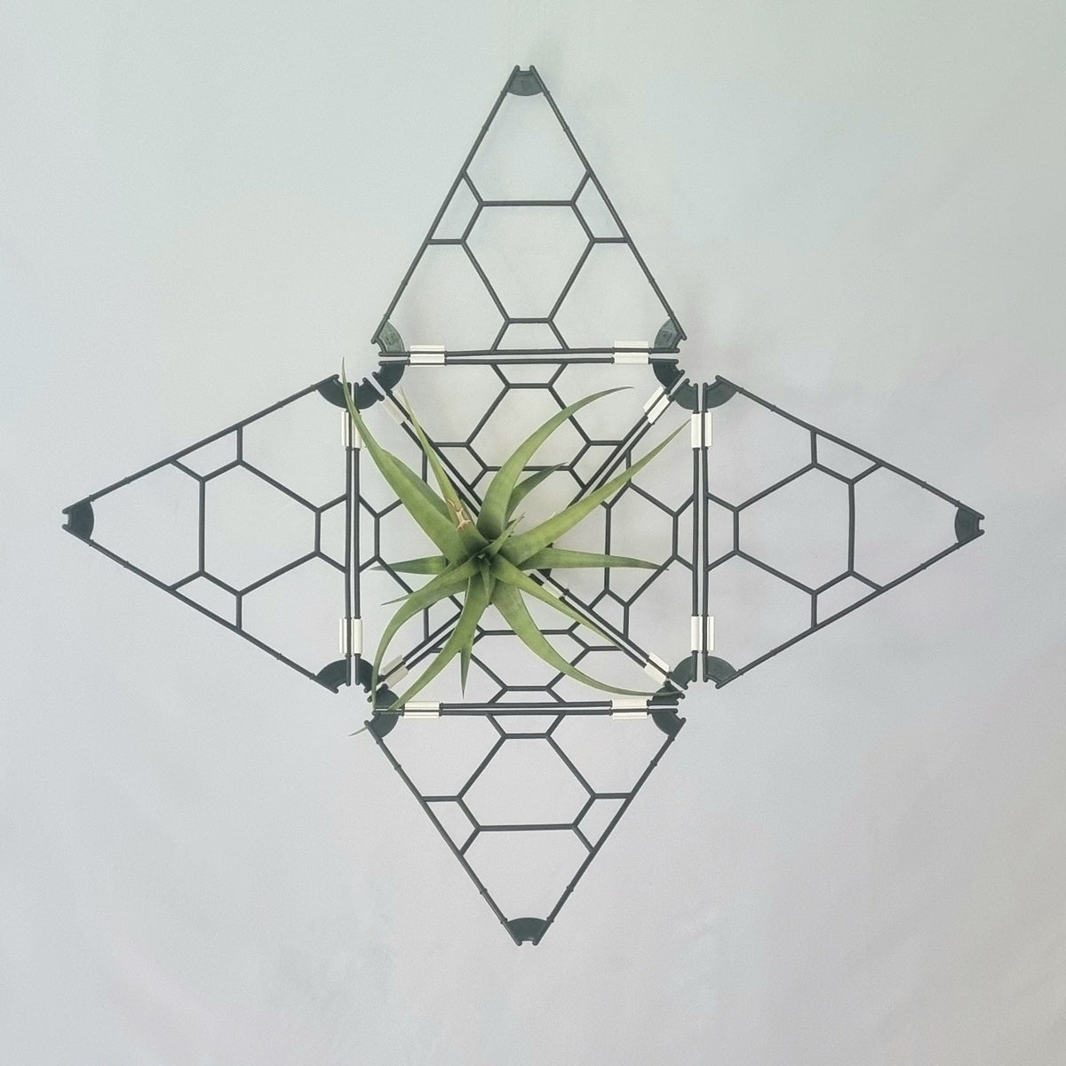 TRYframe 24 Pack