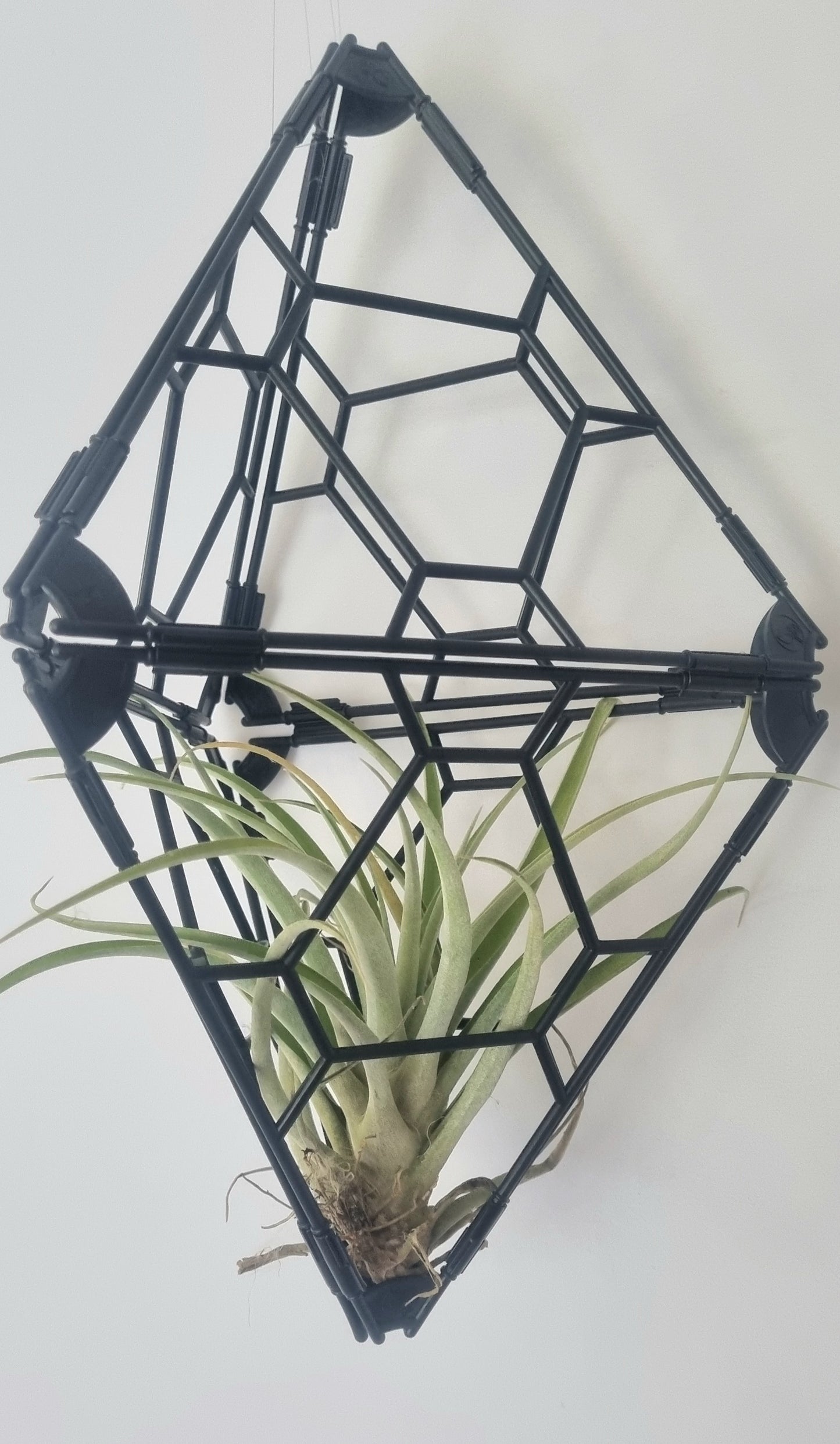TRYframe 24 Pack