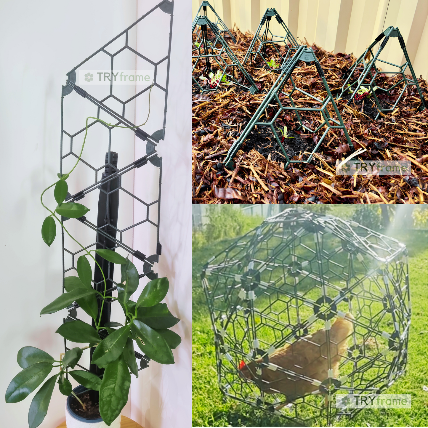 TRYframe - Starter Pack