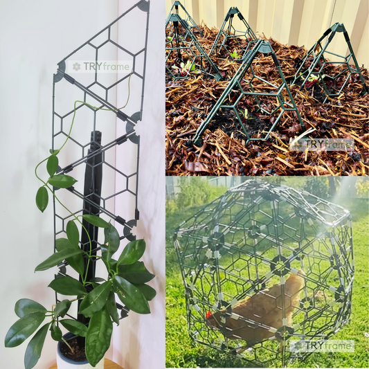 TRYframe - Starter Pack