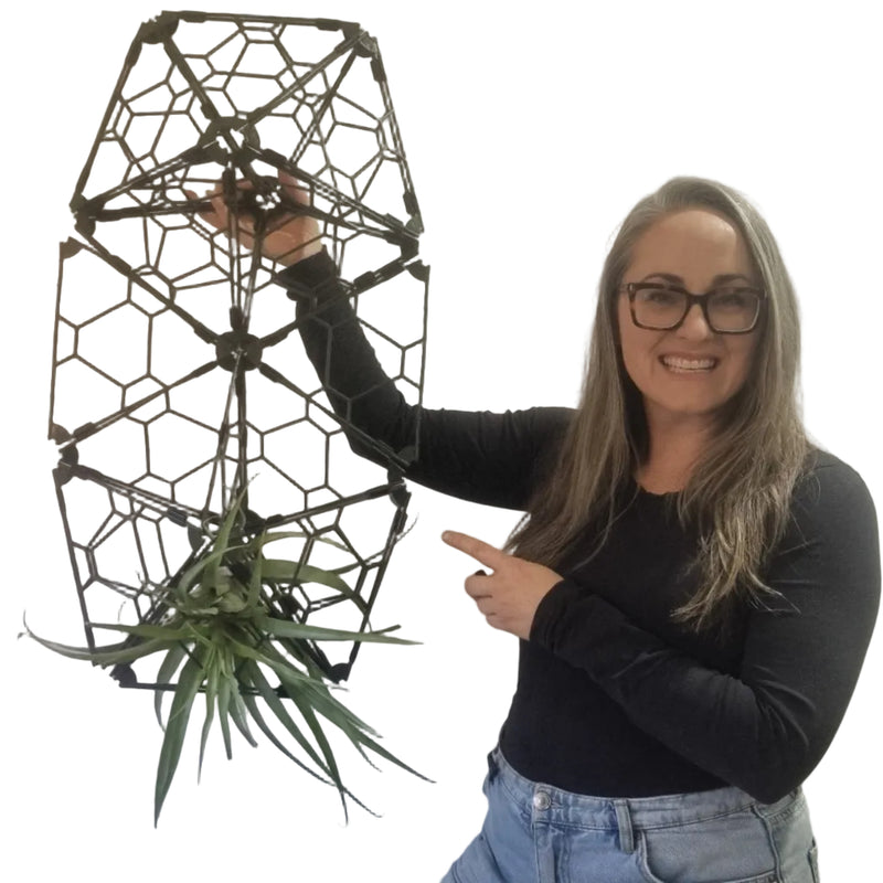 A woman with glasses and long light brown hair holds up a black hexagonal wall-mounted planter cage with a green air plant inside, set against a
