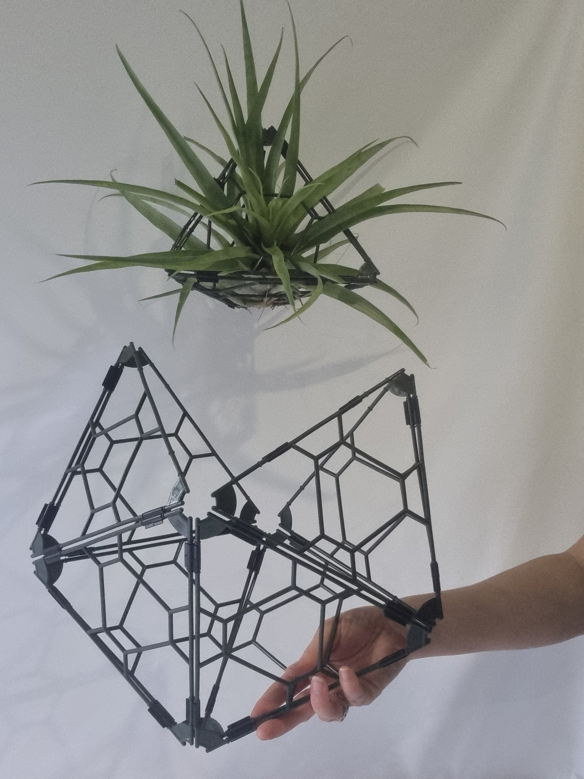 A black geometric plant hanger with a green air plant displayed at the top, and a hand holding a matching empty hanger at the bottom