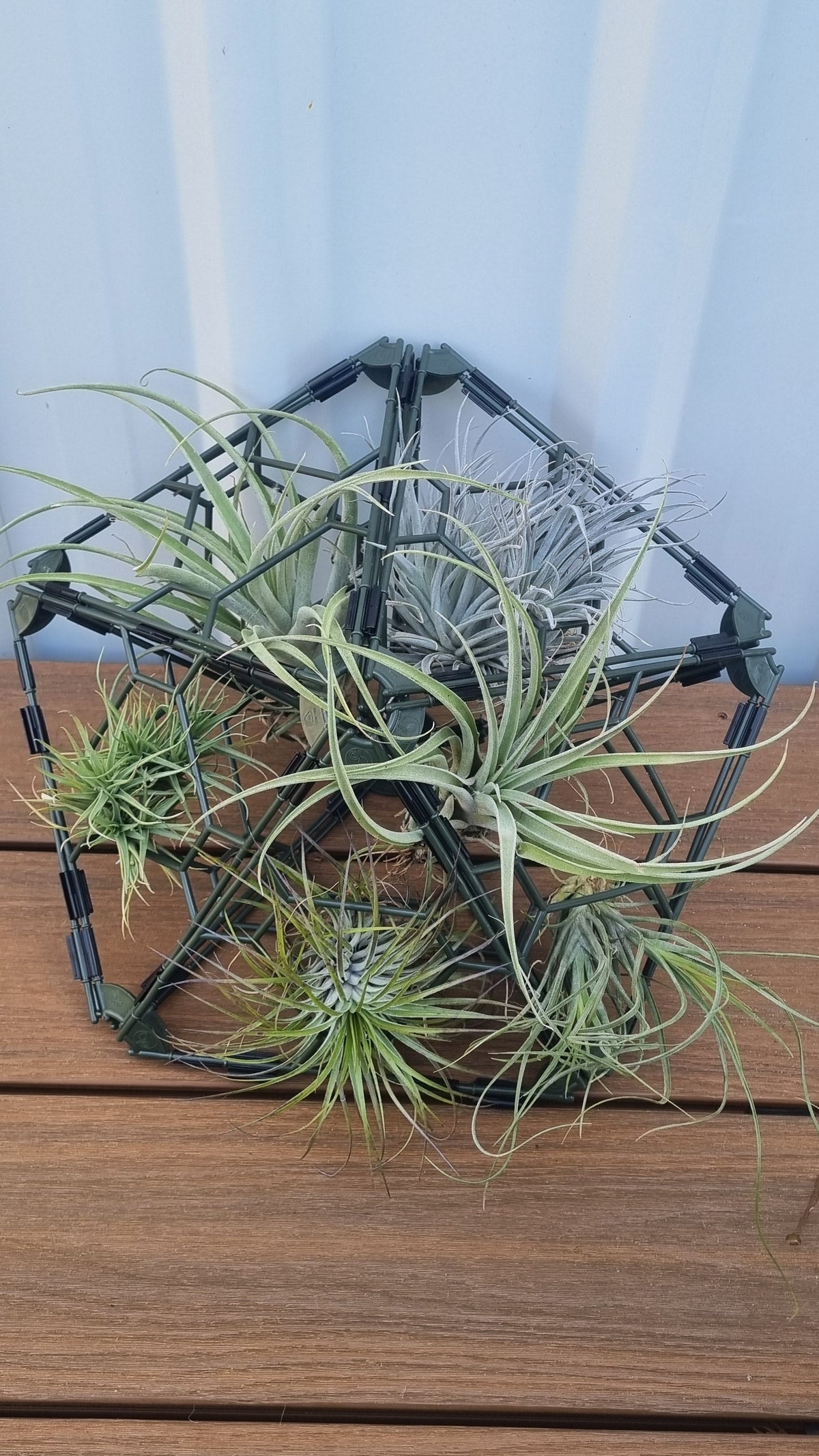 TRYframe 10 Pack