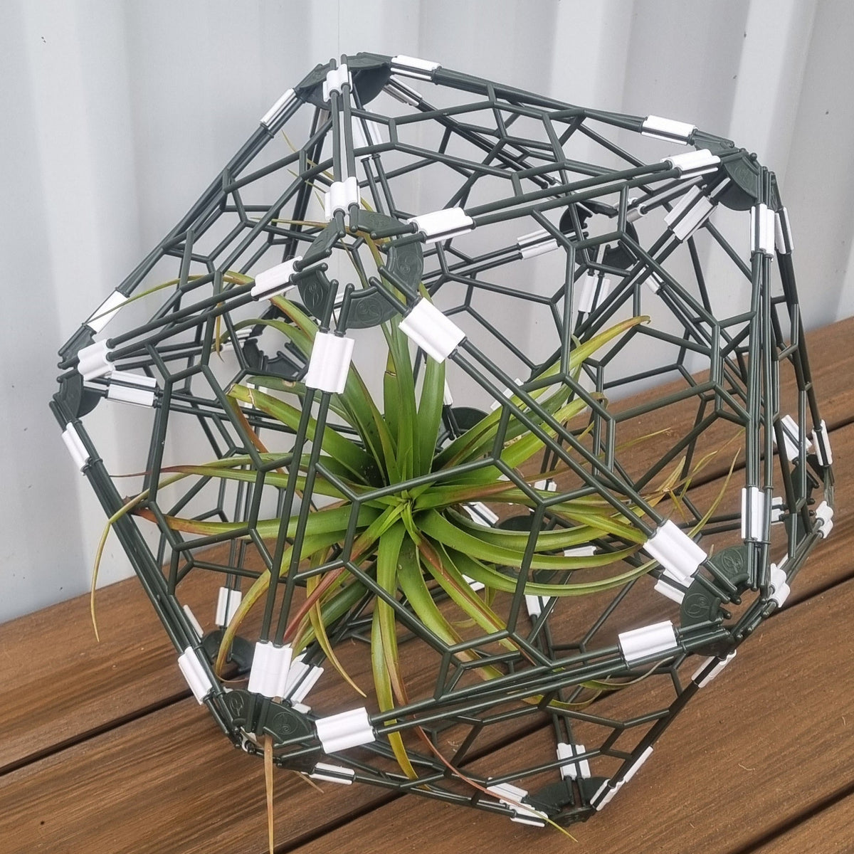 TRYframe 24 Pack