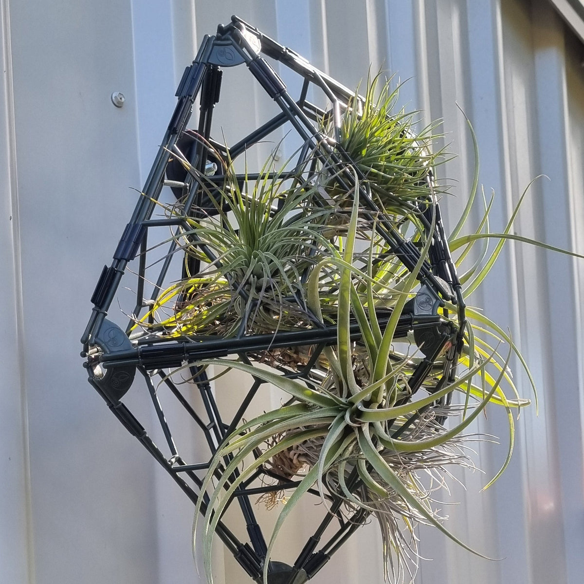 TRYframe 10 Pack