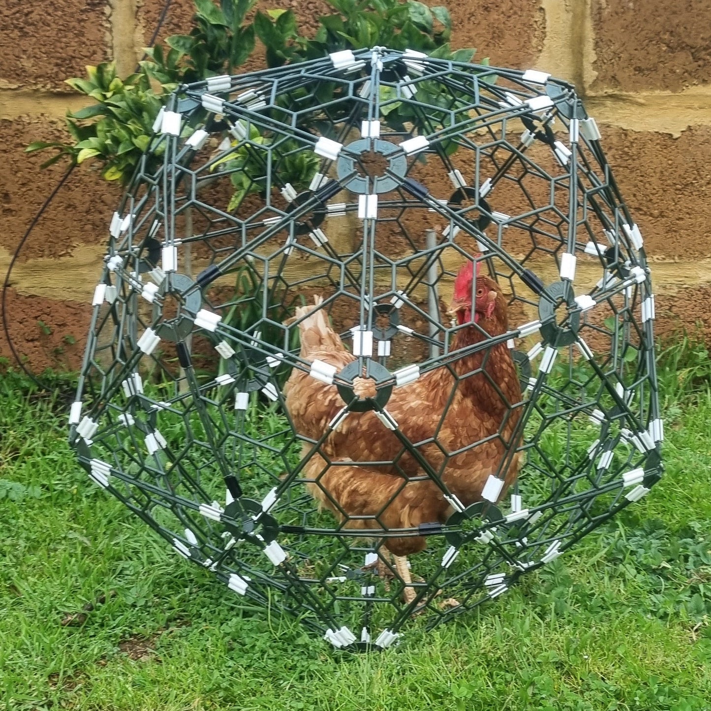 NEXT GEN ORB