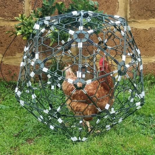 NEXT GEN ORB