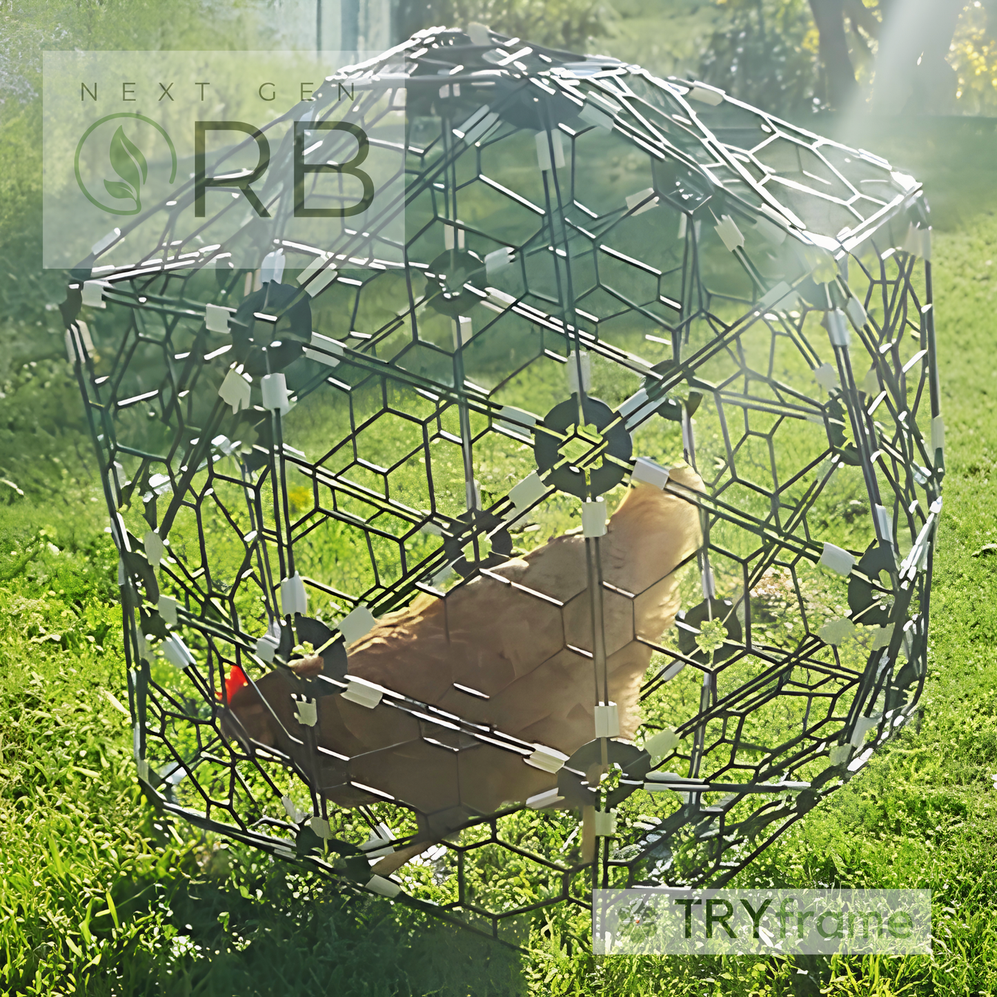 NEXT GEN ORB- chickenORB